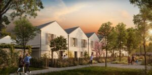 program-Bellis-thumb