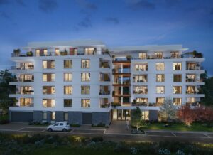 program-Redwood - C-galery5